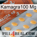 Kamagra100 Mg 43